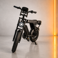 V8 Fat Tire Electric Bike